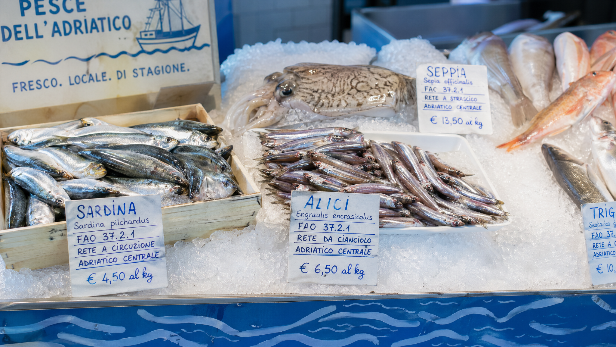 Pesce dell’Adriatico in primavera: cosa comprare senza farsi confondere